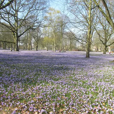 Διαμέρισμα Holt *