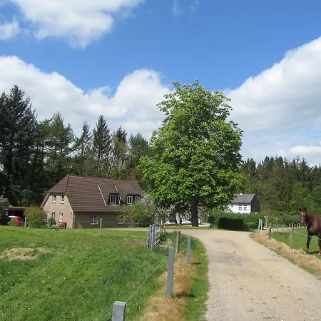 Holt * Χούζουμ