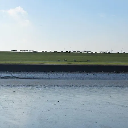 Holt Διαμέρισμα *