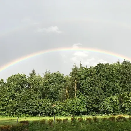 Διαμέρισμα Holt