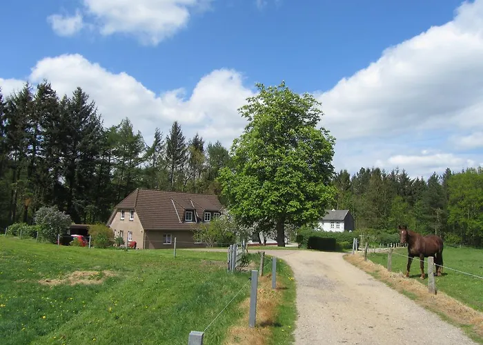 Holt * Husum (Schleswig-Holstein)